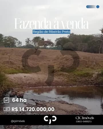 Fazenda na Região de Ribeirão Preto - SP