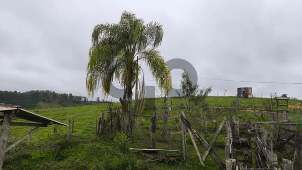 Fazenda - Córrego Danta - MG