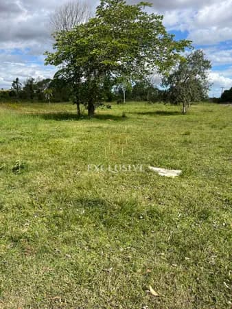 Terreno em Volta da Charqueada, Cachoeira do Sul/RS