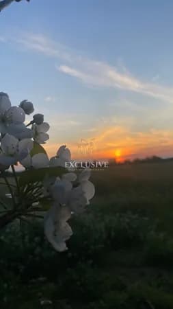 Fazenda/Sítios/Chácaras em Cachoeira do Sul - Três Vendas