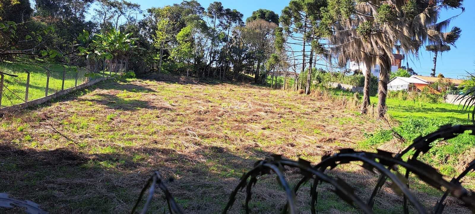 Excelente Terreno 2.920m² - Campo Largo