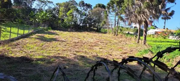 Excelente Terreno 2.920m² - Campo Largo