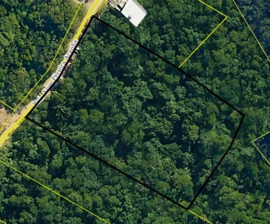 Lindo terreno a venda em ilhabela com Perspectiva Para o Verde das Montanhas