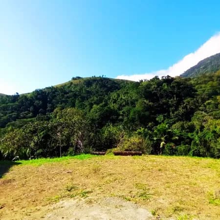Lindo Lote de terreno a venda em ilhabela com uma Vista Verde Deslumbrante no Siriuba.