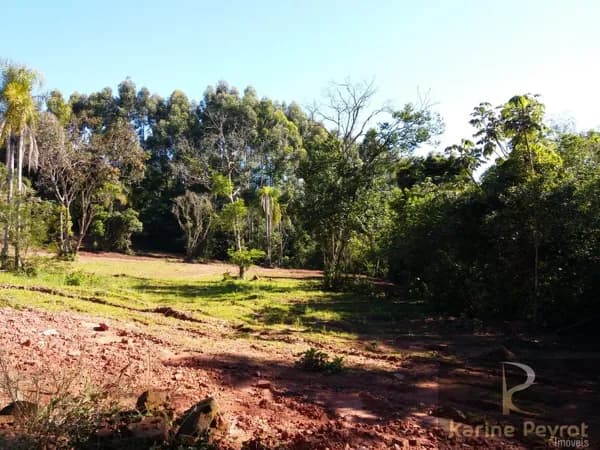 Lote/Terreno em São Leopoldo - Fazenda São Borja