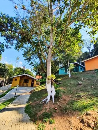 Santo Antônio do Pinhal: A Harmonia entre Investimento e Natureza