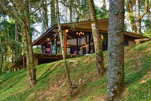 Cabana Moderna: Onde a Arquitetura se Mescla com a Floresta de Gonçalves