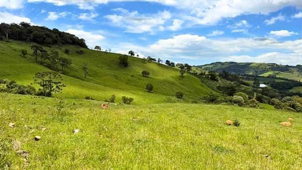 Área exclusiva com vista para a Mantiqueira