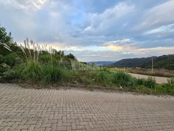 Terrenos a venda no Loteamento Videiras no Bairro São Roque!