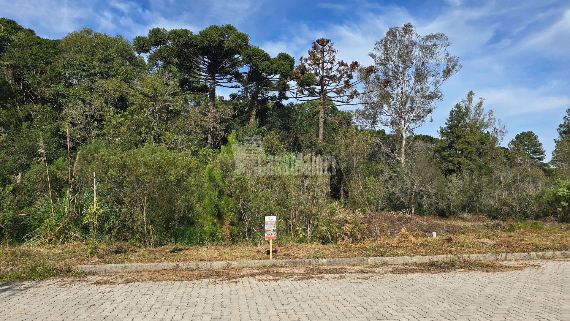 Terreno a venda no Loteamento Reserva das Araucárias