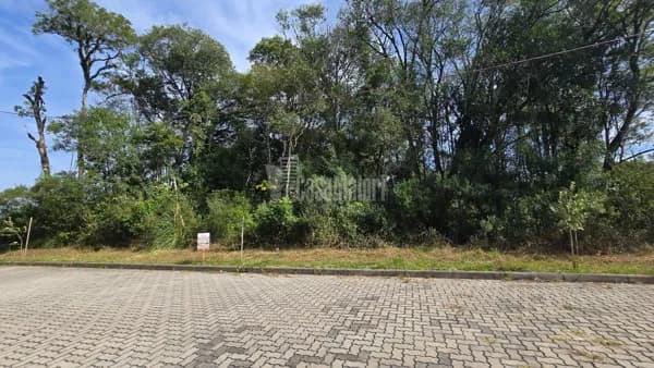Terreno a venda no Loteamento Reserva das Araucárias no Santo Antão!