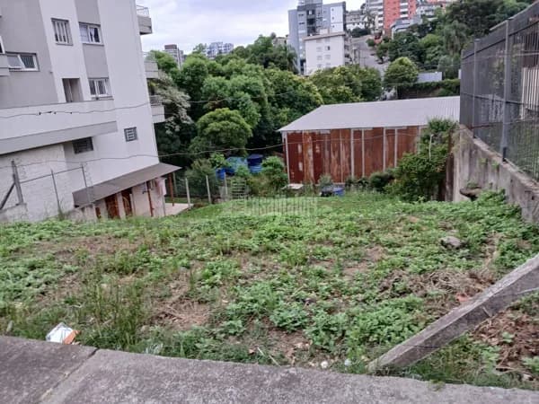 Terreno Comercial/Residencial entre os Bairros Humaitá e Borgo