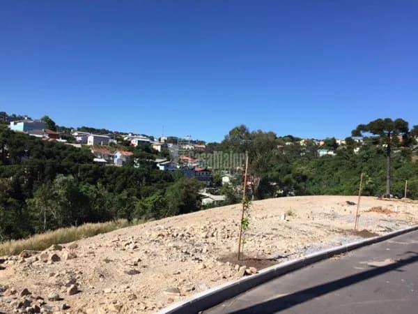 Terreno à venda no bairro Santa Marta em Bento Gonçalves/RS