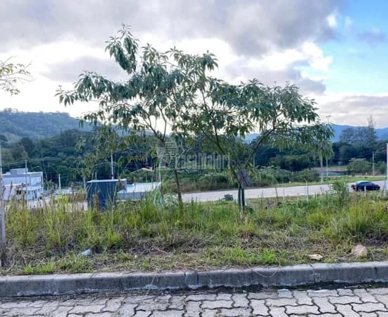 Terreno à venda no bairro Vila Nova II em Bento Gonçalves/RS