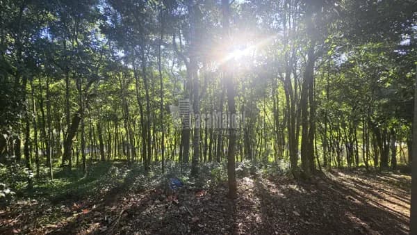 Terreno em Condomínio Fechado com 1581m²
