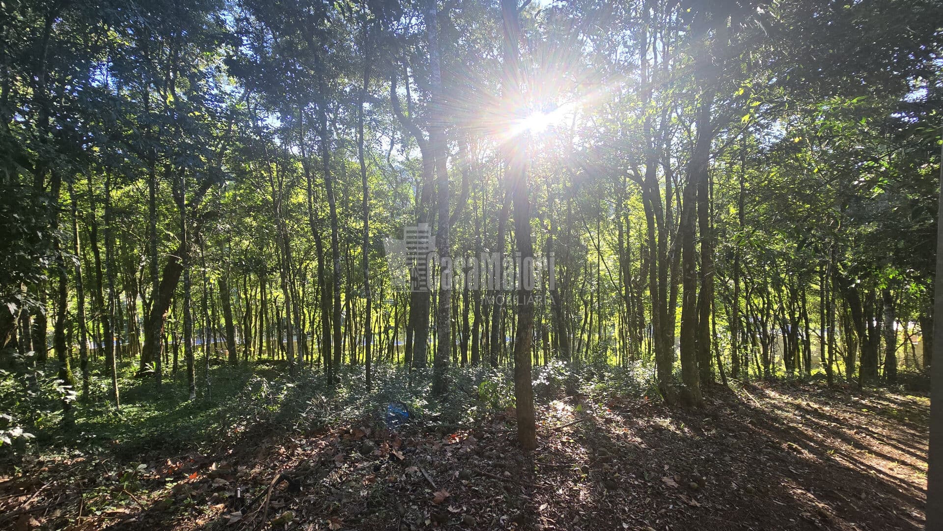 Terreno em Condomínio Fechado com 1581m²