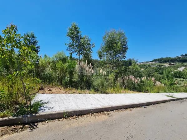 Terreno no Loteamento Fátima