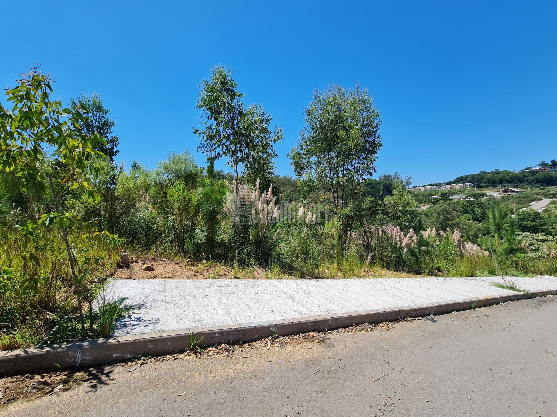 Terreno no Loteamento Fátima