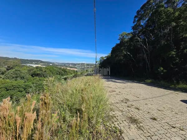 Terreno a venda no Bairro Verona em Bento Gonçalves!