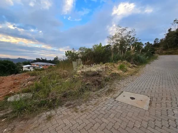 Terrenos a venda no Loteamento Videiras no Bairro São Roque!