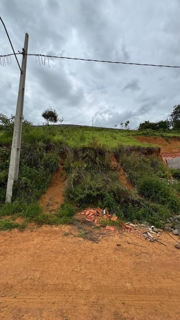 Lote/Terreno em Muriaé - Recreio