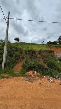Lote/Terreno em Muriaé - Recreio