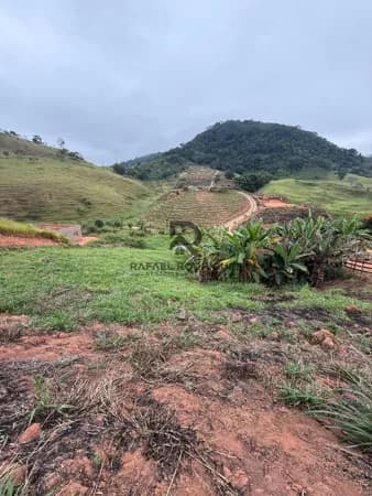 Lote/Terreno em Muriaé - Centro