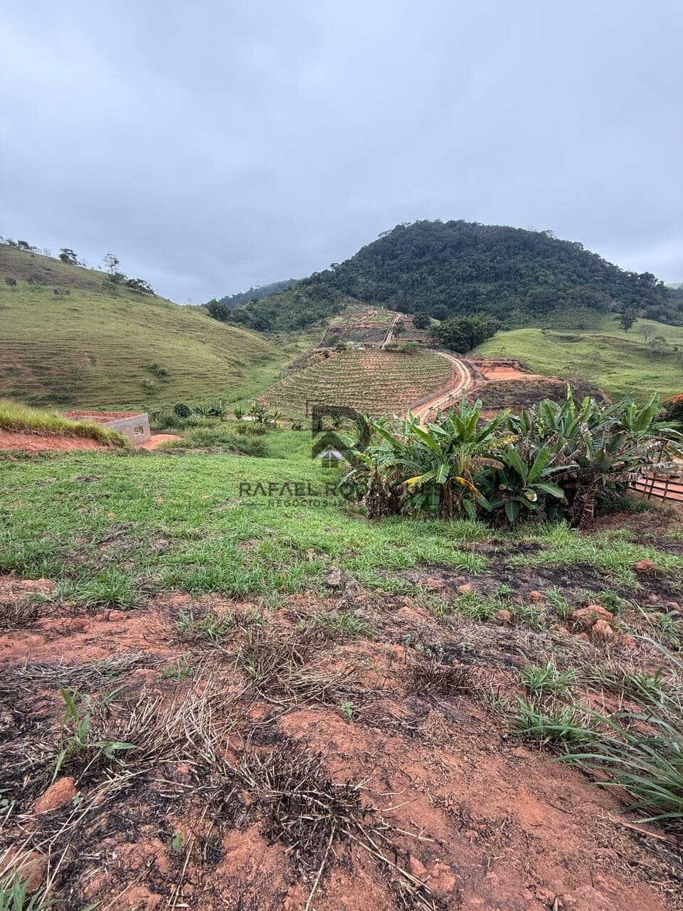 Lote/Terreno em Muriaé - Centro