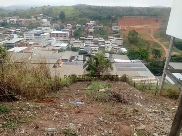 Lote/Terreno em Muriaé - Cardoso de Melo