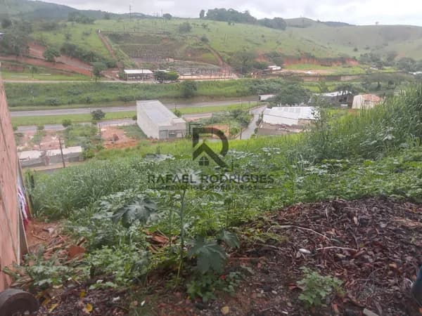 Lote/Terreno em Muriaé - Planalto