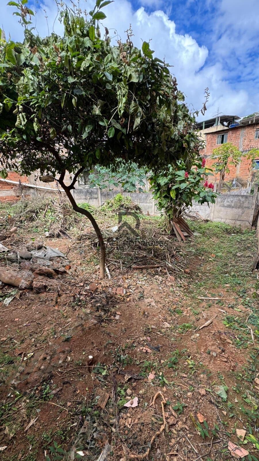 Lote/Terreno em Muriaé - São Pedro