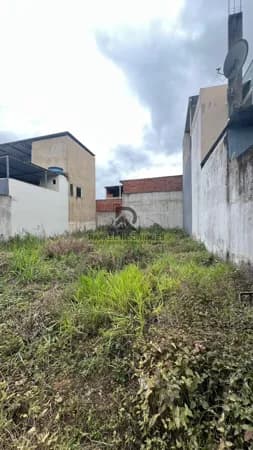 Lote/Terreno em Muriaé - Franco Suiço