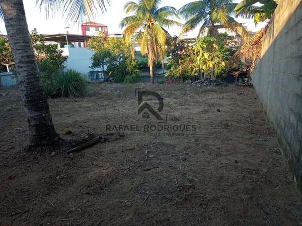 Lote/Terreno em Muriaé - Chácara Doutor Brum