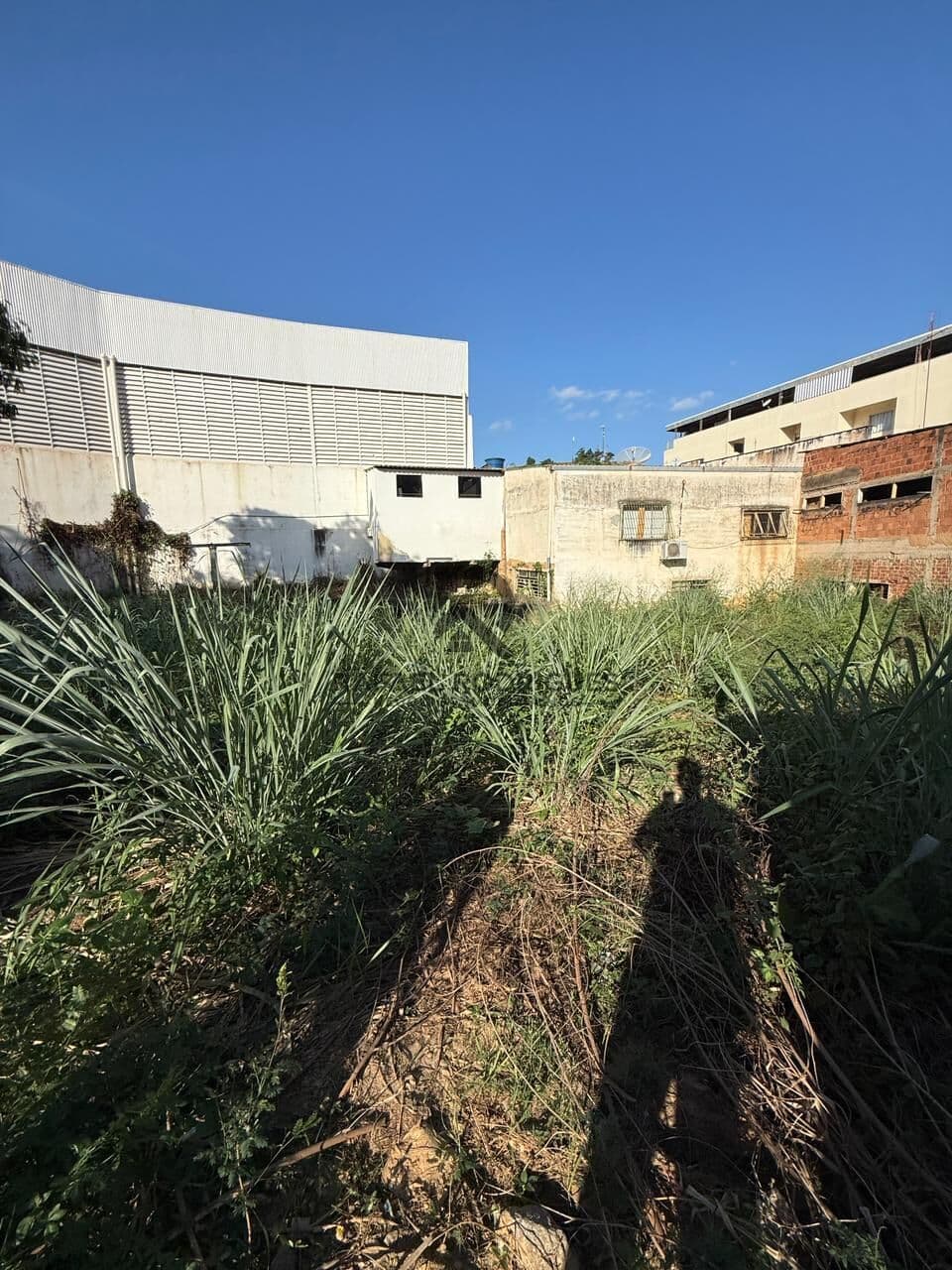 Lote/Terreno em Muriaé - Gaspar