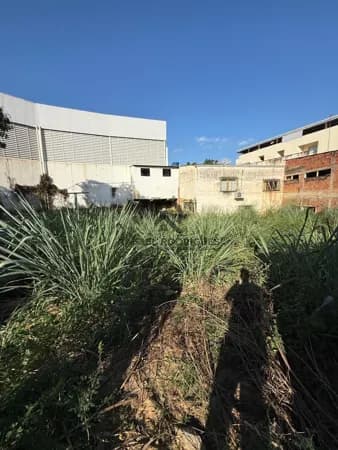 Lote/Terreno em Muriaé - Gaspar