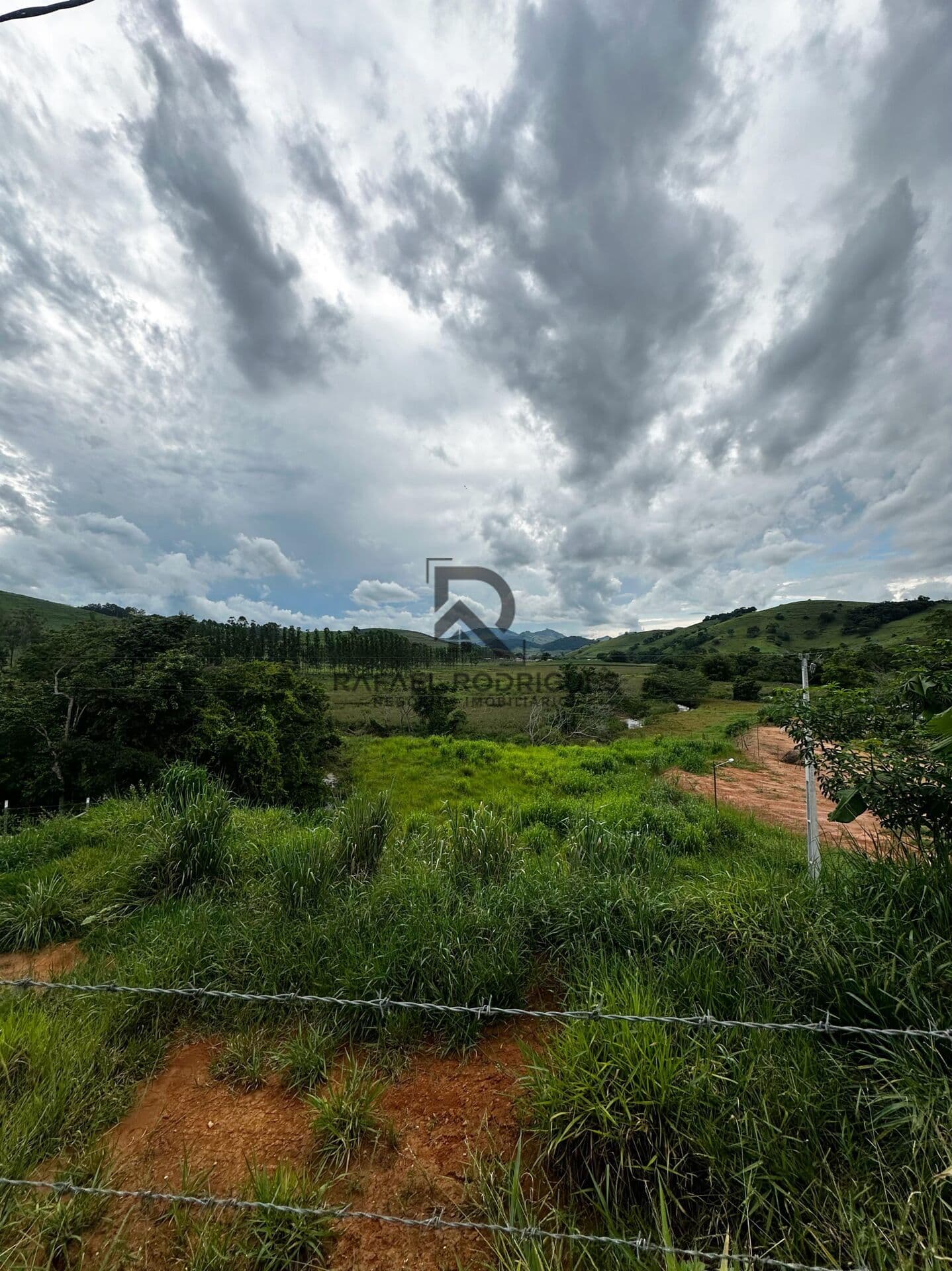 Lote/Terreno em Muriaé - Centro