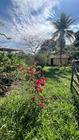 Lote/Terreno em Muriaé - Área Rural de Muriaé