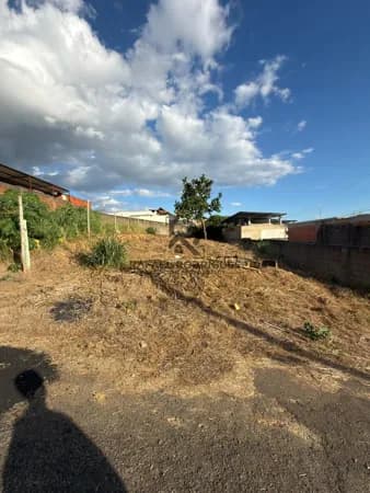 Lote/Terreno em Muriaé - Colety