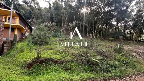 Lote/Terreno em Morro Reuter - Centro