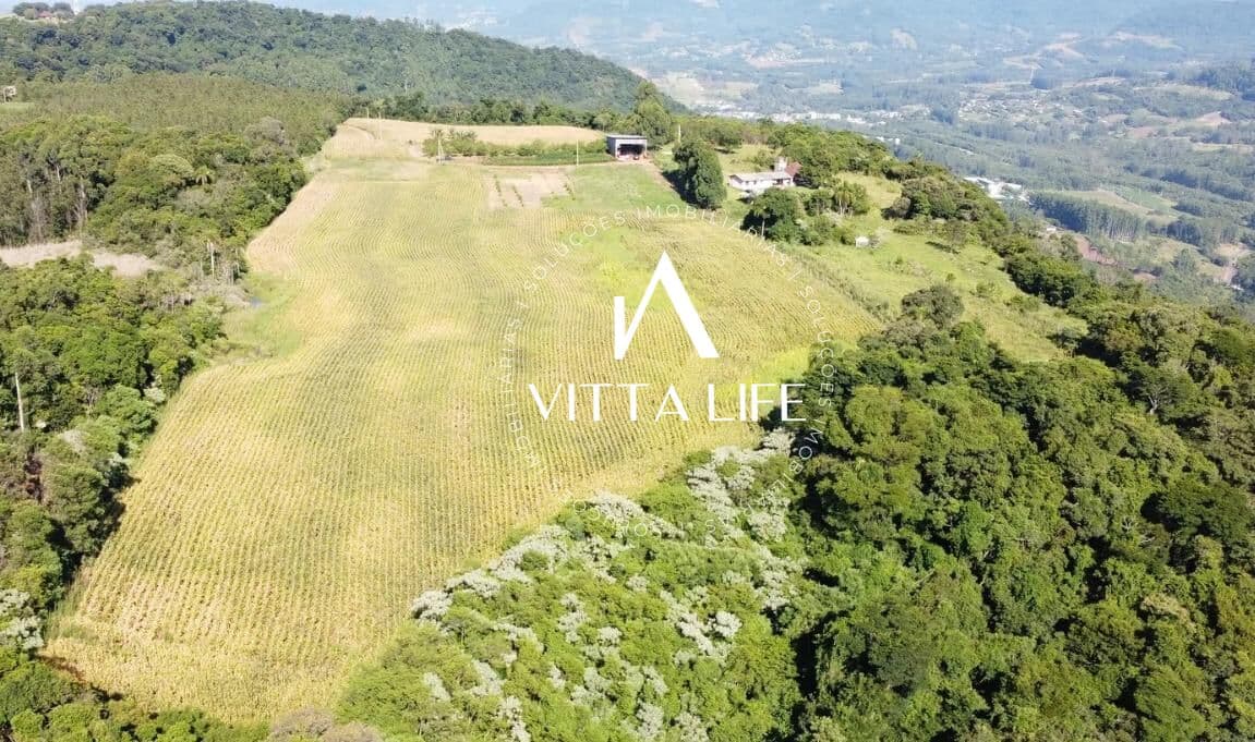 Lote/Terreno em Morro Reuter - Centro