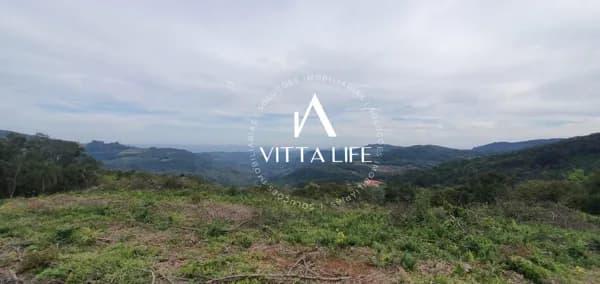 Lote/Terreno em Morro Reuter - Centro
