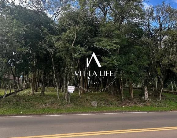 Lote/Terreno em Morro Reuter - Centro