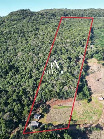 Fazenda/Sítios/Chácaras em Morro Reuter - Centro