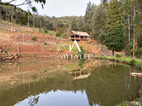 Fazenda/Sítios/Chácaras em Morro Reuter - Centro