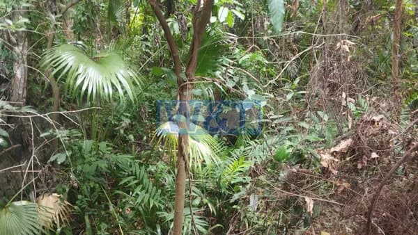 Lote/Terreno em Niterói - Badu