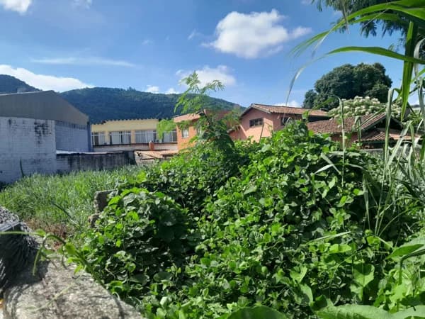 Terreno Lote