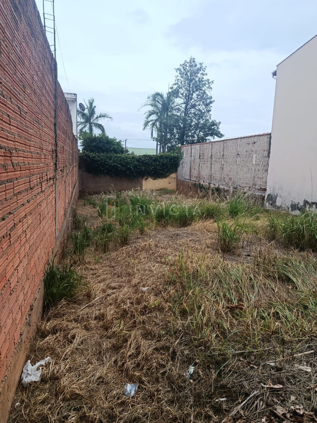Lote/Terreno em Rio Claro - Jardim São Paulo II