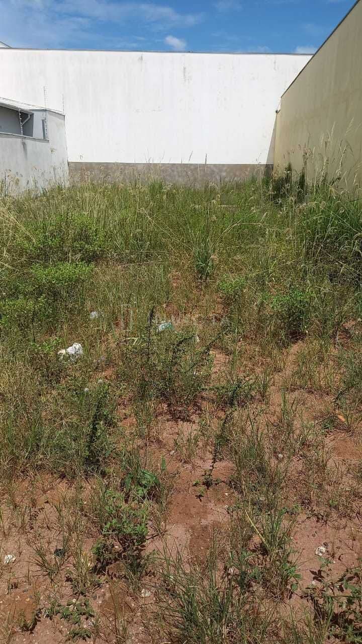 Lote/Terreno em Rio Claro - Jardim Independência