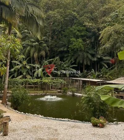 Sítio em Guabiruba Sul, Guabiruba/SC