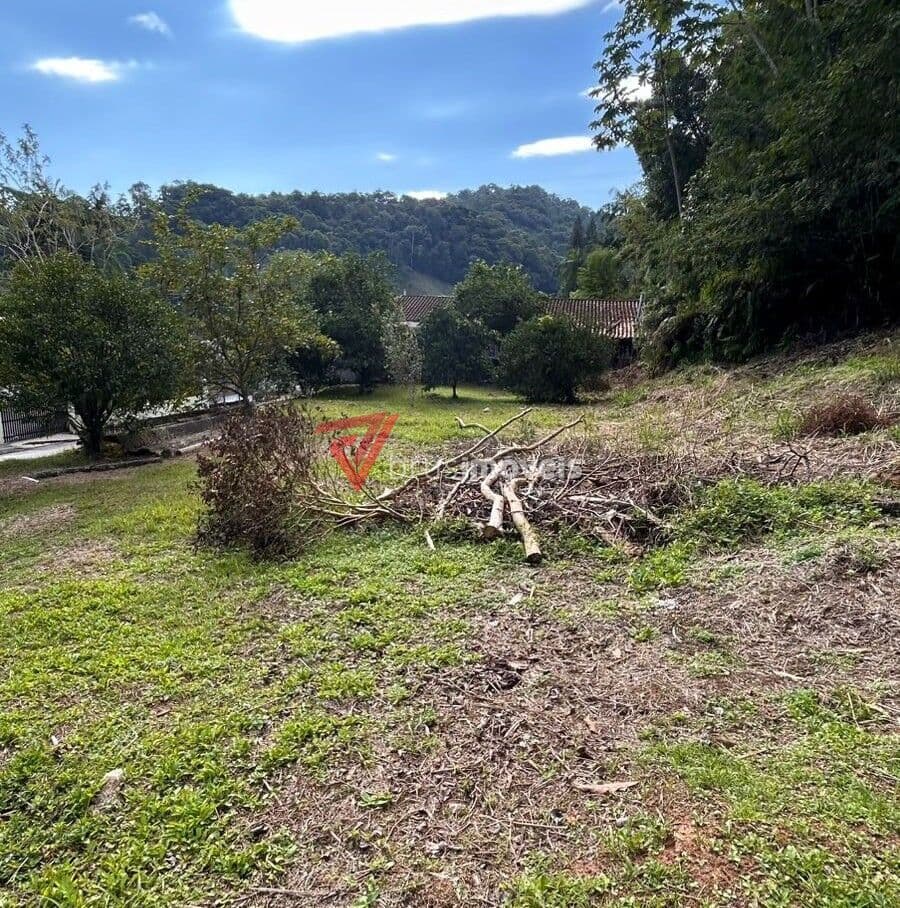 Terreno Bairro São Pedro